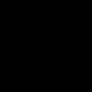 Meet your Posher, Haily